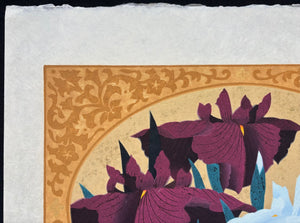 - Iris 71, 2000 -