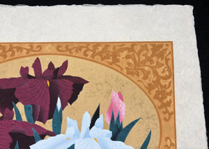 - Iris 71, 2000 -