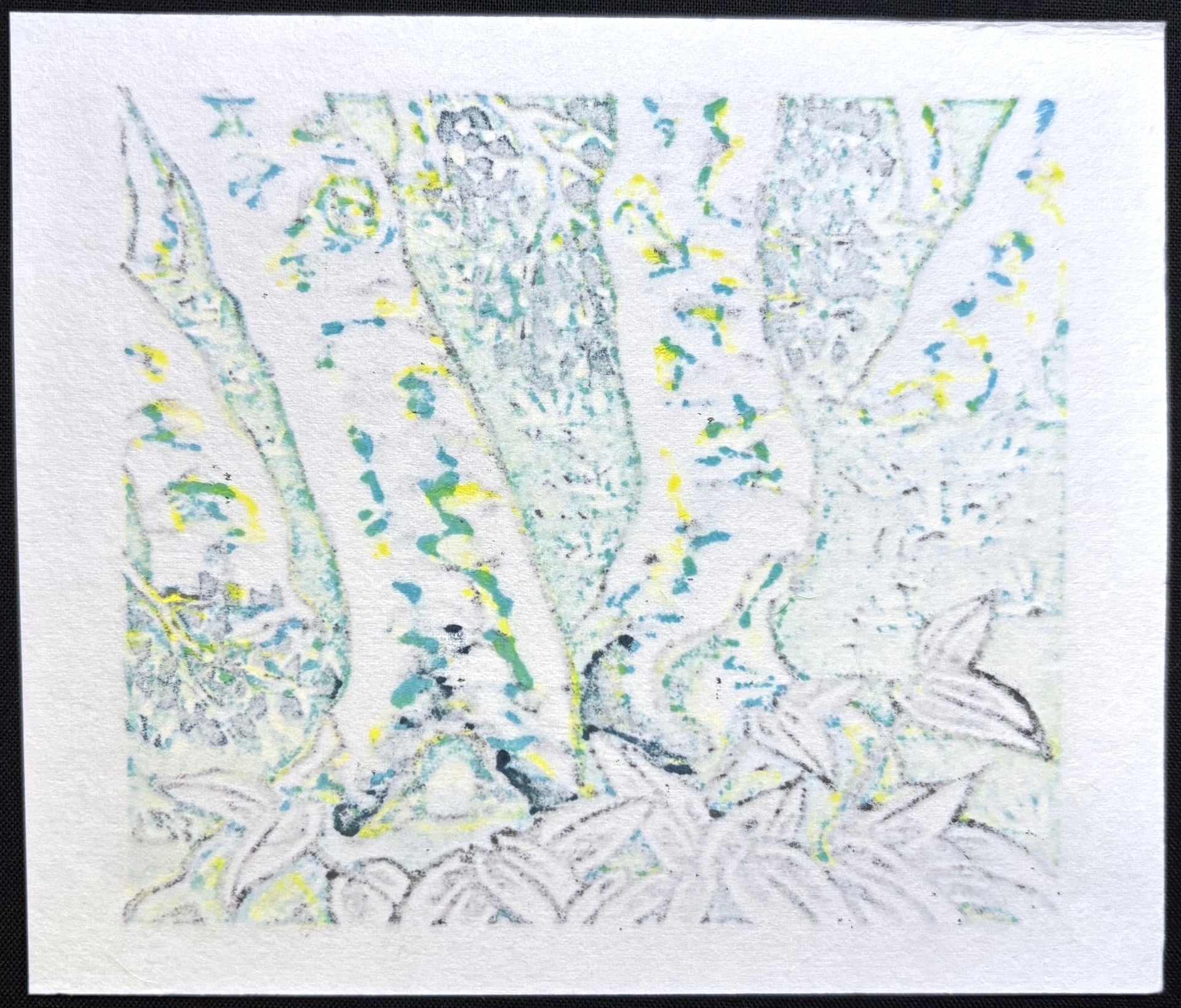 - Birch Trees -