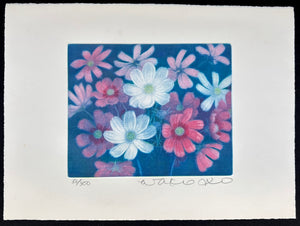- Cosmos Flowers-