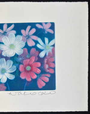 - Cosmos Flowers-