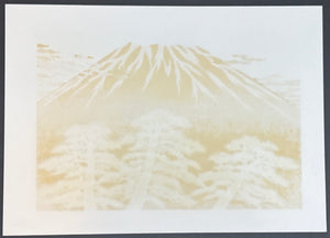- Mt. Fuji 17 -