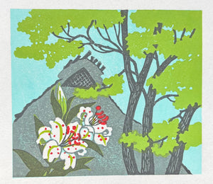 - Mountain Village in Summer -