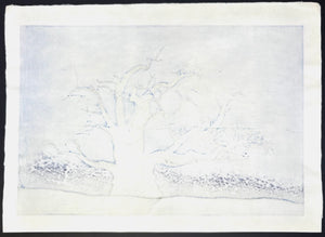 - Yamataka Jindai Zakura (Yamataka Jindai Cherry Blossoms) -