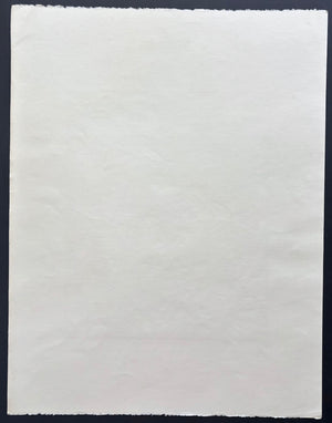 - New York Ukiyo-e #2 -