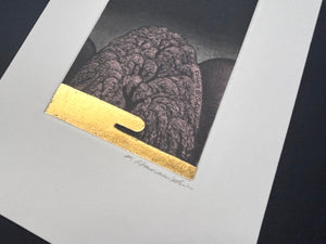 - Shidare Zakura (Weeping Cherry),  EX-LIBRIS, 2004 -