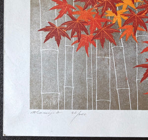 - Momiji 2 -