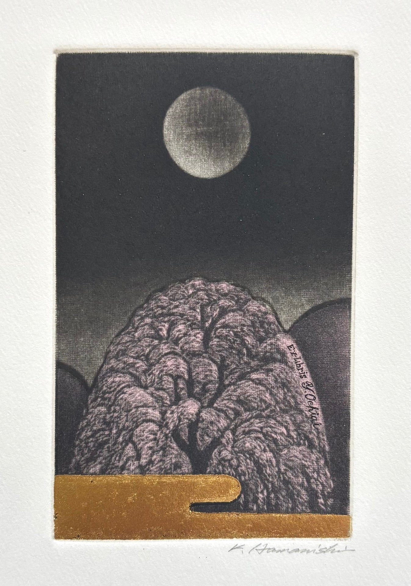 - Shidare Zakura (Weeping Cherry),  EX-LIBRIS, 2004 -