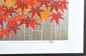 - Momiji 2 -