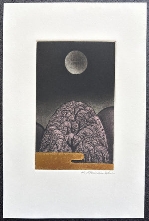 - Shidare Zakura (Weeping Cherry),  EX-LIBRIS, 2004 -