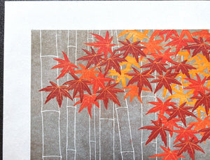 - Momiji 2 -
