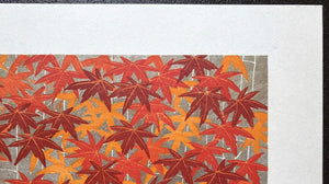 - Momiji 2 -