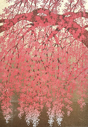 - Shidare Zakura 19  (Weeping Cherry 19) -