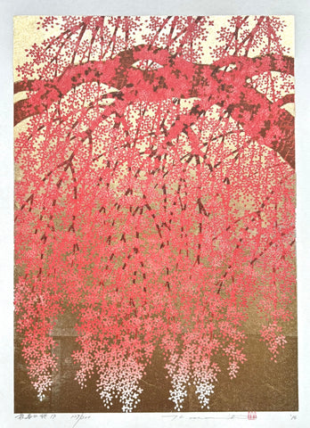 - Shidare Zakura 19  (Weeping Cherry 19) -