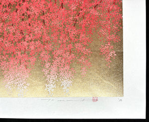 - Shidare Zakura 19  (Weeping Cherry 19) -