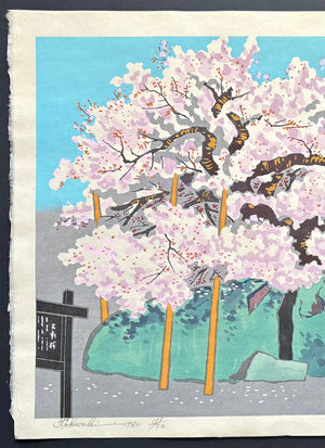 - Hana Morioka Ishiwari-zakura (Ishiwari-zakura in Bloom, Morioka) -