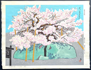 - Hana Morioka Ishiwari-zakura (Ishiwari-zakura in Bloom, Morioka) -