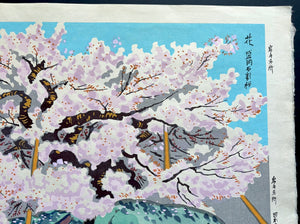 - Hana Morioka Ishiwari-zakura (Ishiwari-zakura in Bloom, Morioka) -