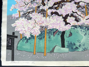 - Hana Morioka Ishiwari-zakura (Ishiwari-zakura in Bloom, Morioka) -