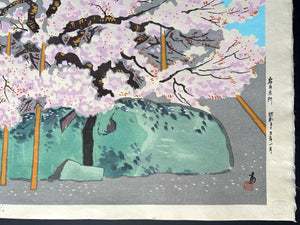 - Hana Morioka Ishiwari-zakura (Ishiwari-zakura in Bloom, Morioka) -
