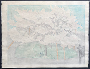 - Hana Morioka Ishiwari-zakura (Ishiwari-zakura in Bloom, Morioka) -