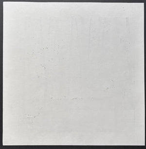 - Sagano Tsubaki (Camellia at Sagano, Kyoto)-