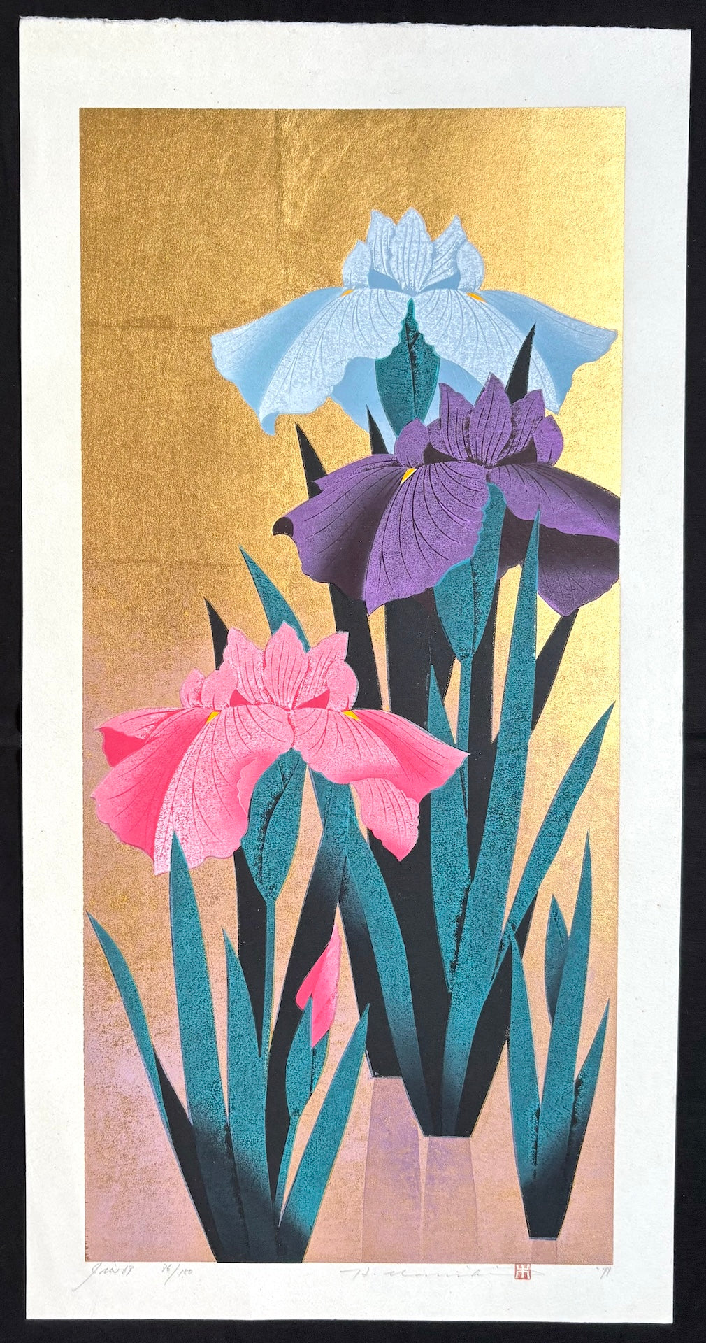 - Iris 69 -