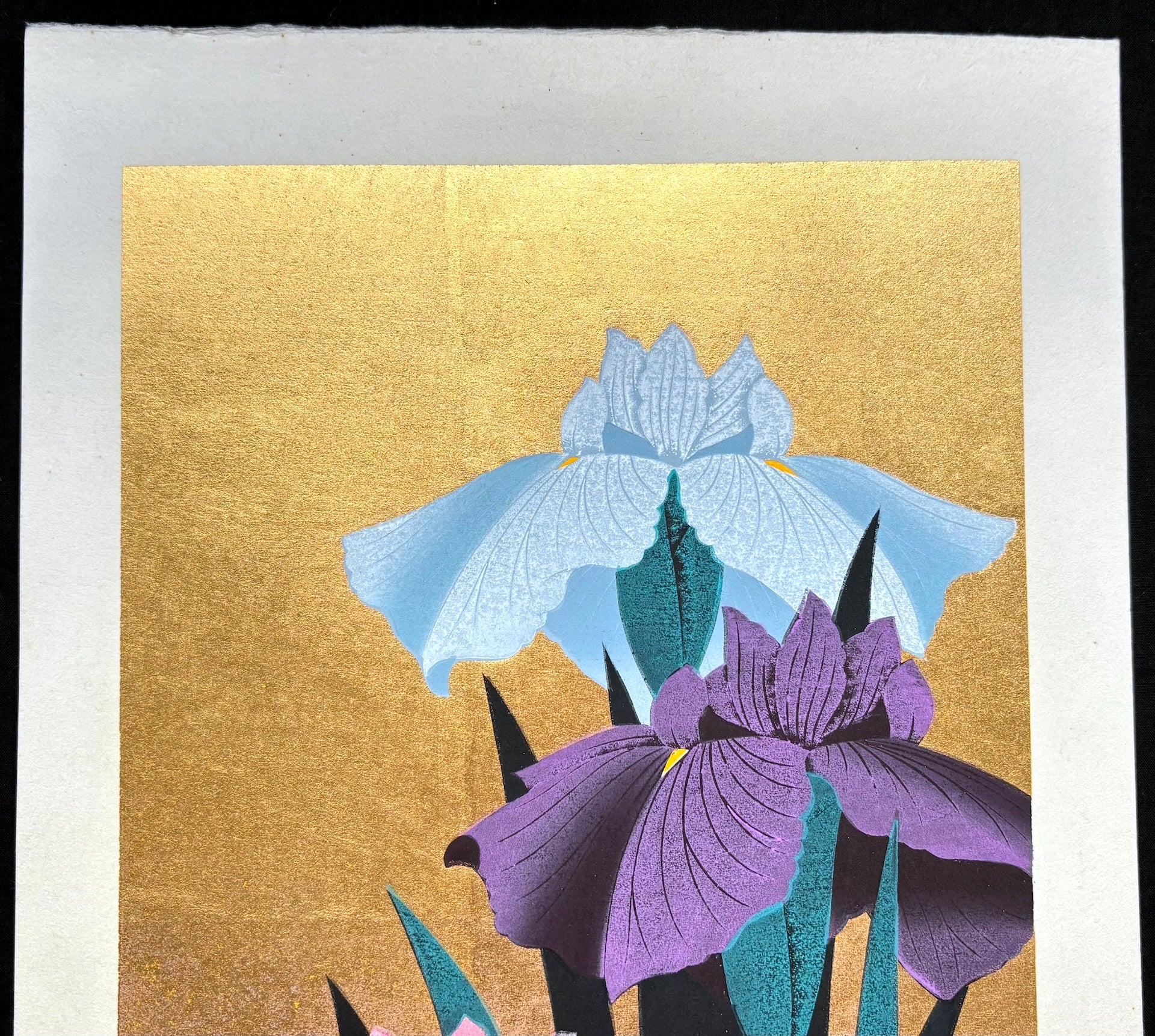 - Iris 69 -