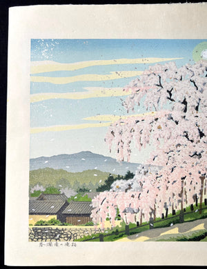 - Haru-ranman no Takizakura (Waterfall Cherry Tree in Spring) -