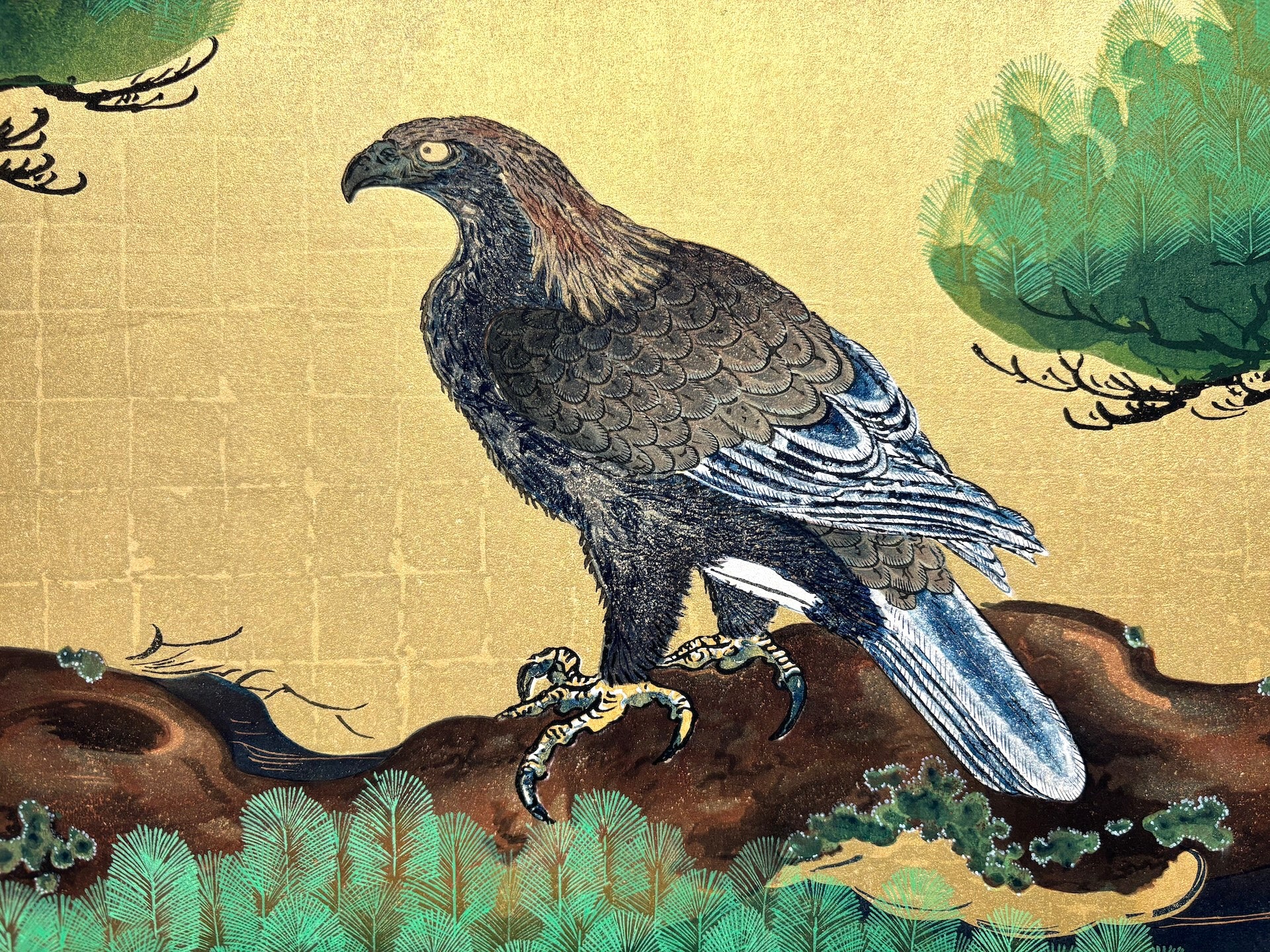 - Matsutaka-zu (Hawk and Pine Tree) -