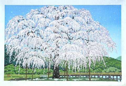 - Arashiyama Shidare Zakura (Weeping Cherry at Arashiyama, Kyoto)-