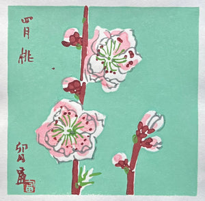 - Momo - Uzuki (Peach Blossoms – April) -