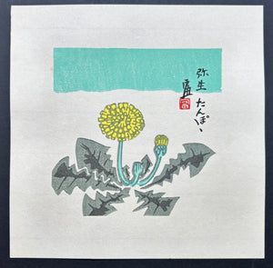 - Tanpopo - Yayoi (Dandelion - March) -