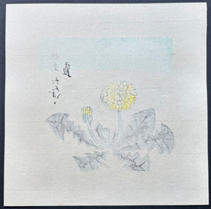 - Tanpopo - Yayoi (Dandelion - March) -