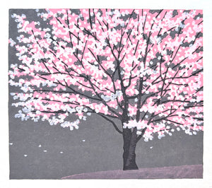 - Sakura (Cherry Blossoms) -