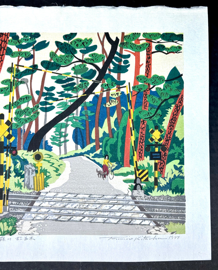 - Fujikawa no Matsunamiki (Pine Trees Path in Fujikawa) -