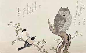 - Momochidori Kyoka Awase (Myriad Birds: A Kyoka Competition, Owl and Japanese Bullfinch) -