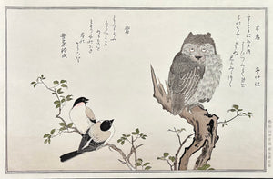 - Momochidori Kyoka Awase (Myriad Birds: A Kyoka Competition, Owl and Japanese Bullfinch) -