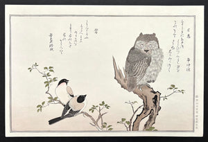 - Momochidori Kyoka Awase (Myriad Birds: A Kyoka Competition, Owl and Japanese Bullfinch) -