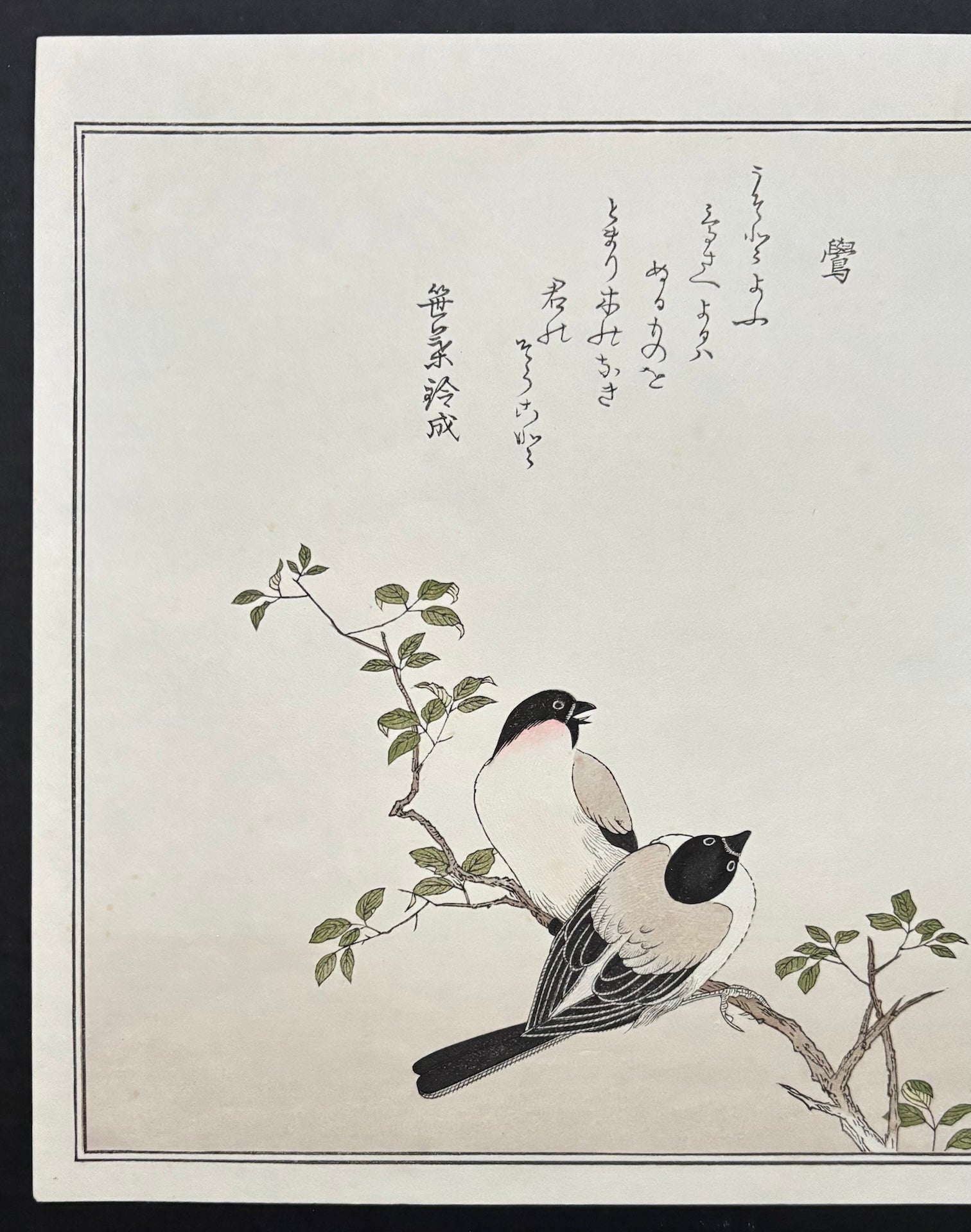 - Momochidori Kyoka Awase (Myriad Birds: A Kyoka Competition, Owl and Japanese Bullfinch) -