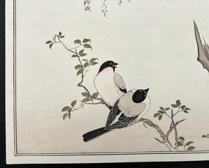 - Momochidori Kyoka Awase (Myriad Birds: A Kyoka Competition, Owl and Japanese Bullfinch) -