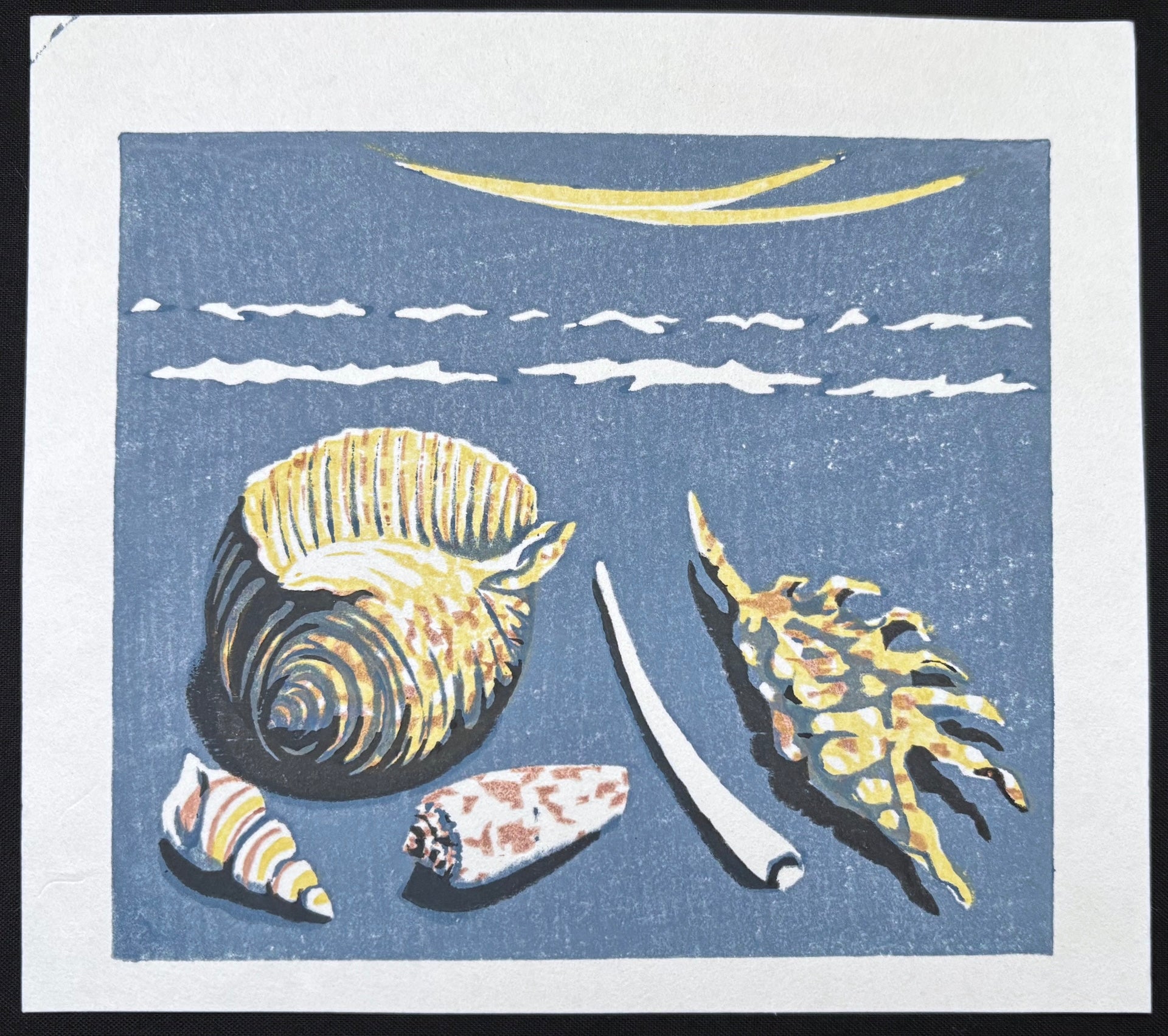 - Seashells  -
