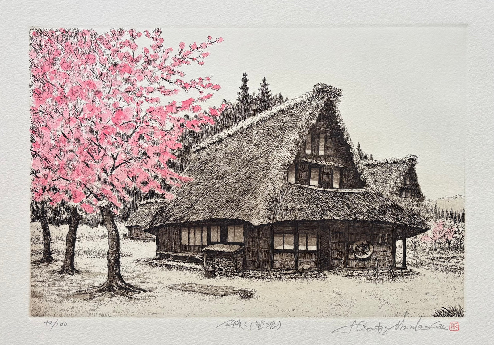 - Sakura Saku -Suganuma (Cherry Blossoms in Full Bloom in Suganuma) -