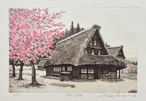 - Sakura Saku -Suganuma (Cherry Blossoms in Full Bloom in Suganuma) -