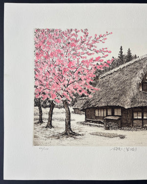 - Sakura Saku -Suganuma (Cherry Blossoms in Full Bloom in Suganuma) -