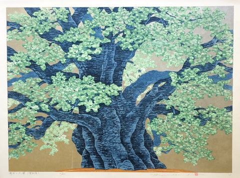 - Seida no Ohkusu, Aichi-ken  (The 1000- year-old Camphor tree at Seida, Aichi prefecture)