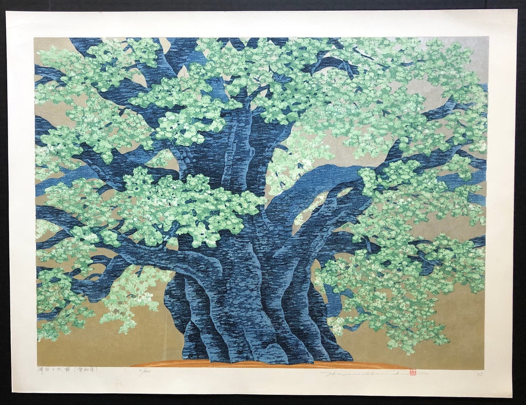 - Seida no Ohkusu, Aichi-ken  (The 1000- year-old Camphor tree at Seida, Aichi prefecture)
