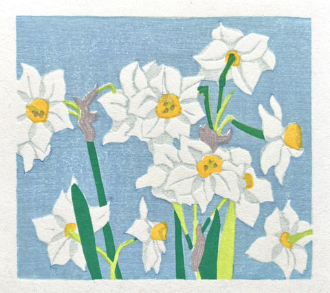 - Daffodils -