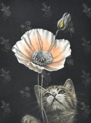 - Kitten and Poppy Flower　-