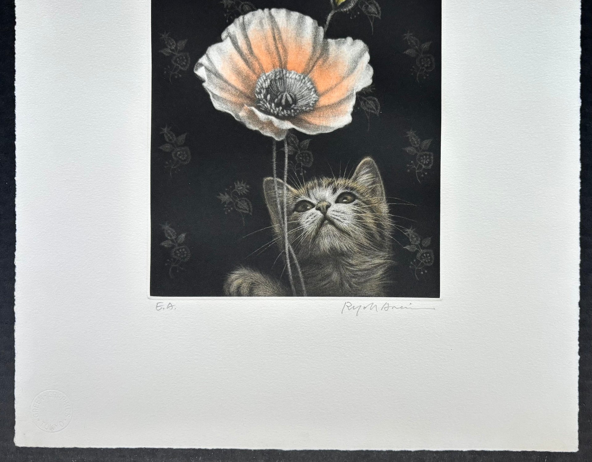 - Kitten and Poppy Flower　-